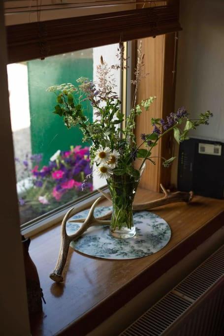 Loch Ness Village Cottage For 2 With Free Parking & Pets Welcome Drumnadrochit Exteriör bild