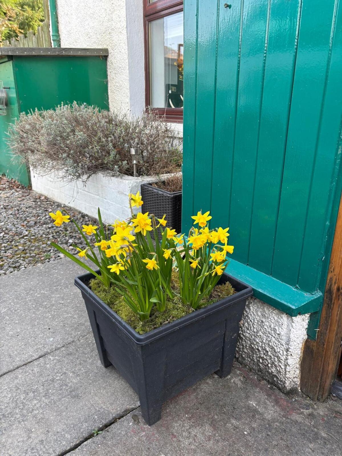 Loch Ness Village Cottage For 2 With Free Parking & Pets Welcome Drumnadrochit Exteriör bild